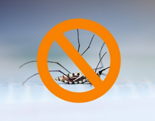 Como evitar insetos transmissores de doenças