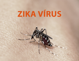 Zika Vírus
